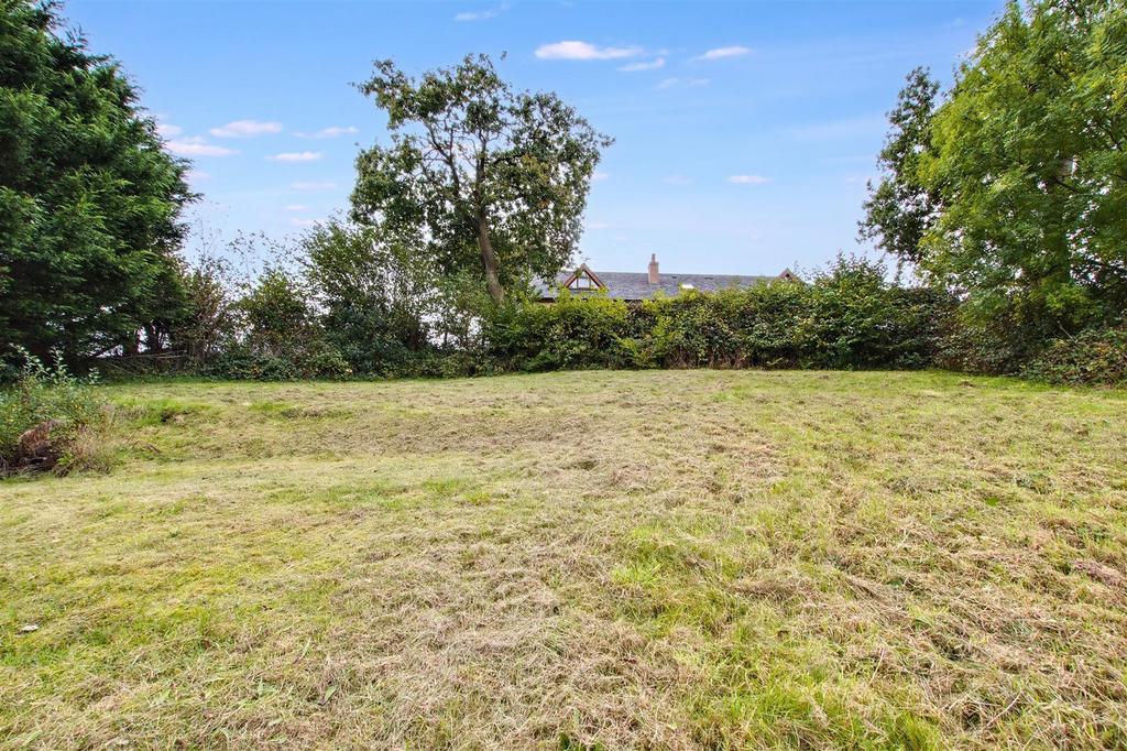 Back garden
