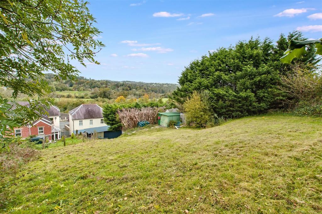 Back garden