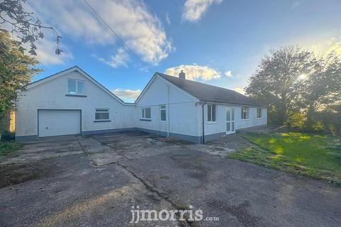 undefined, Beulah, Newcastle Emlyn