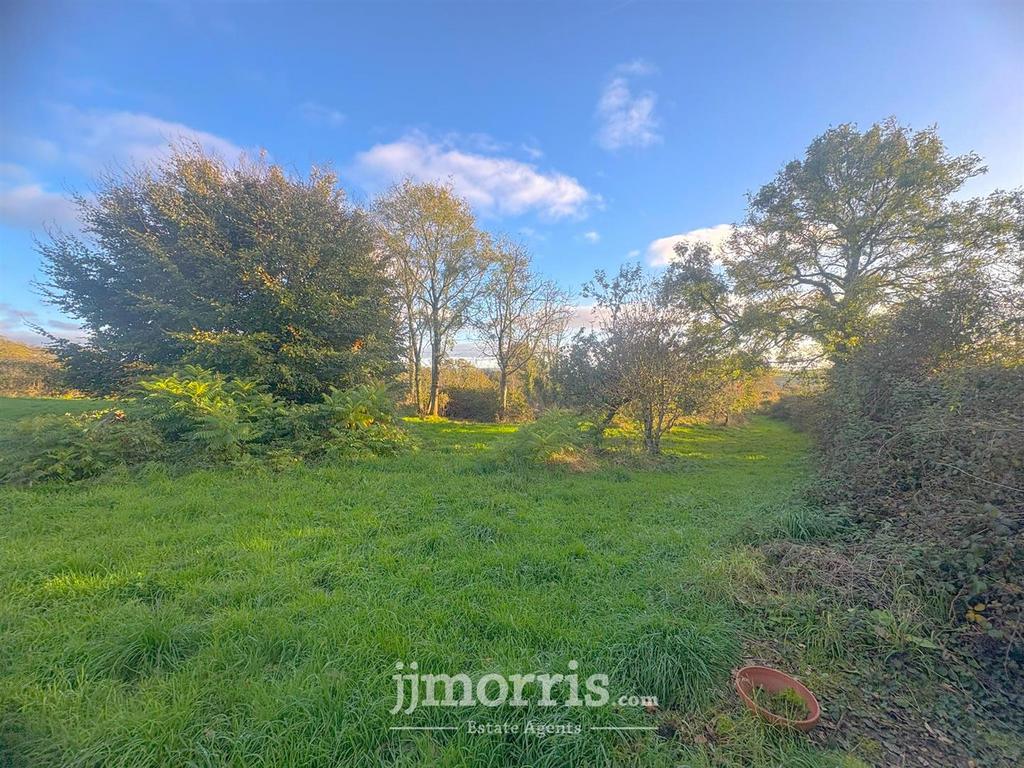 ADE1 E5 D9-92 A4-4522-AC17-7232002 AEB22.jpeg