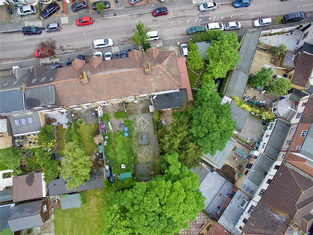 Birds Eye
