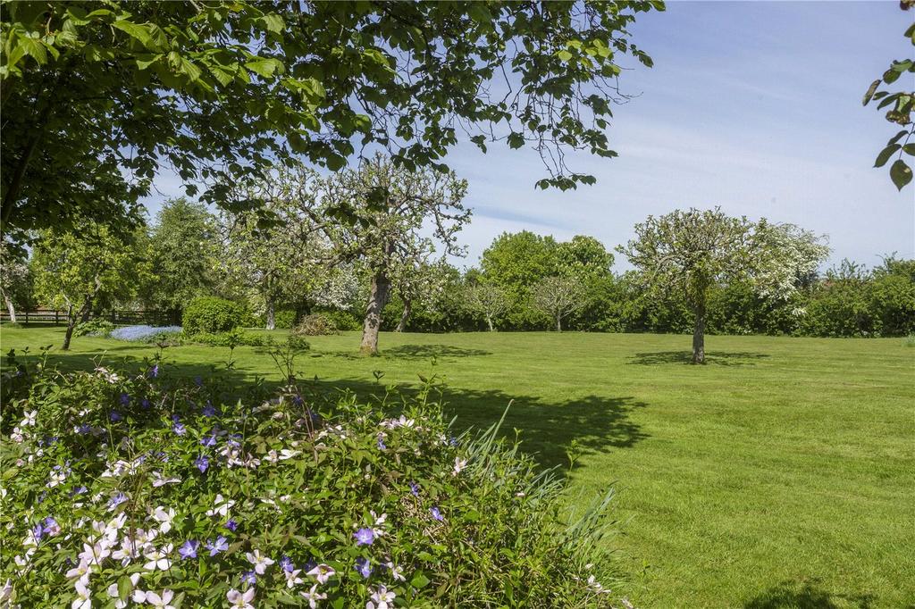 Orchard