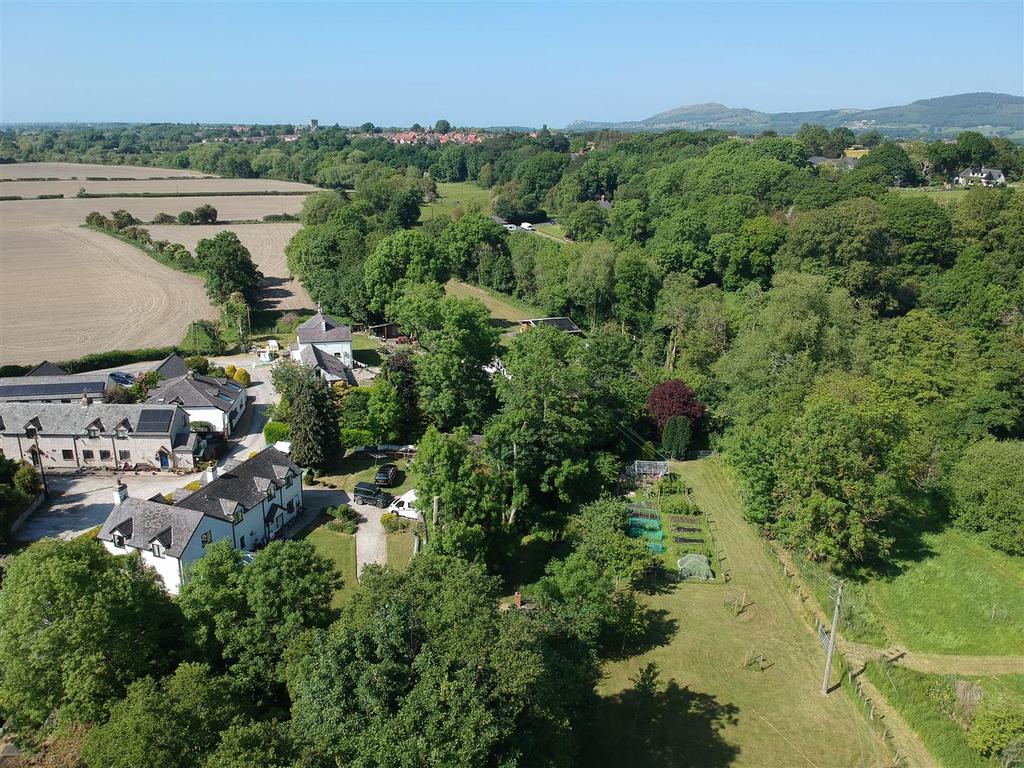 Dji 2385.jpg