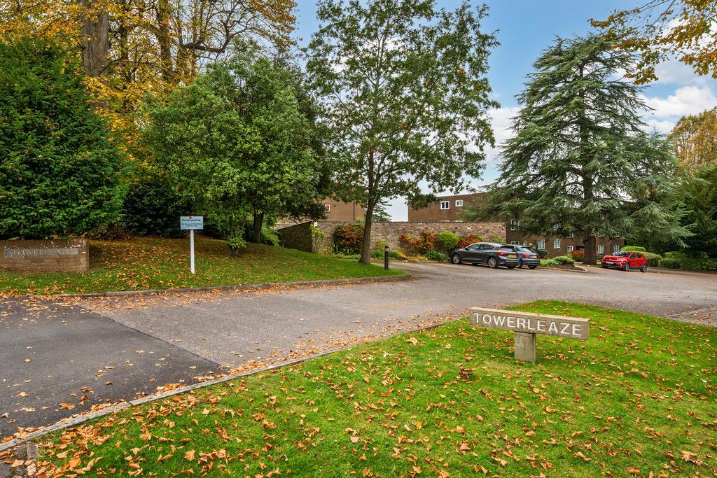 Development Entry