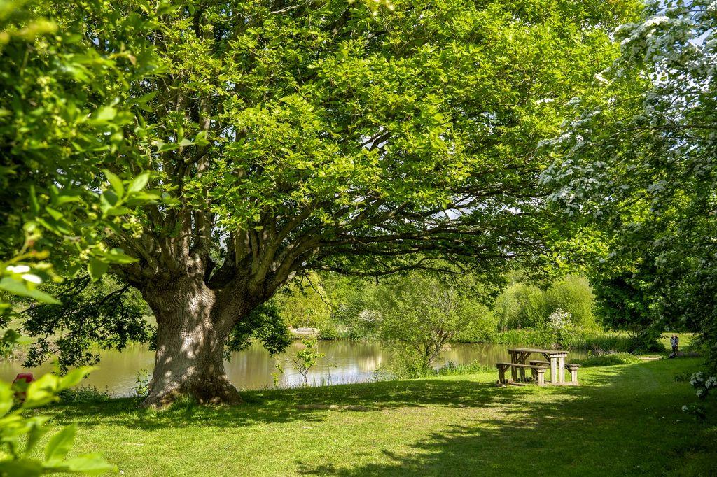 2025 Malvern View Photoshoot 015