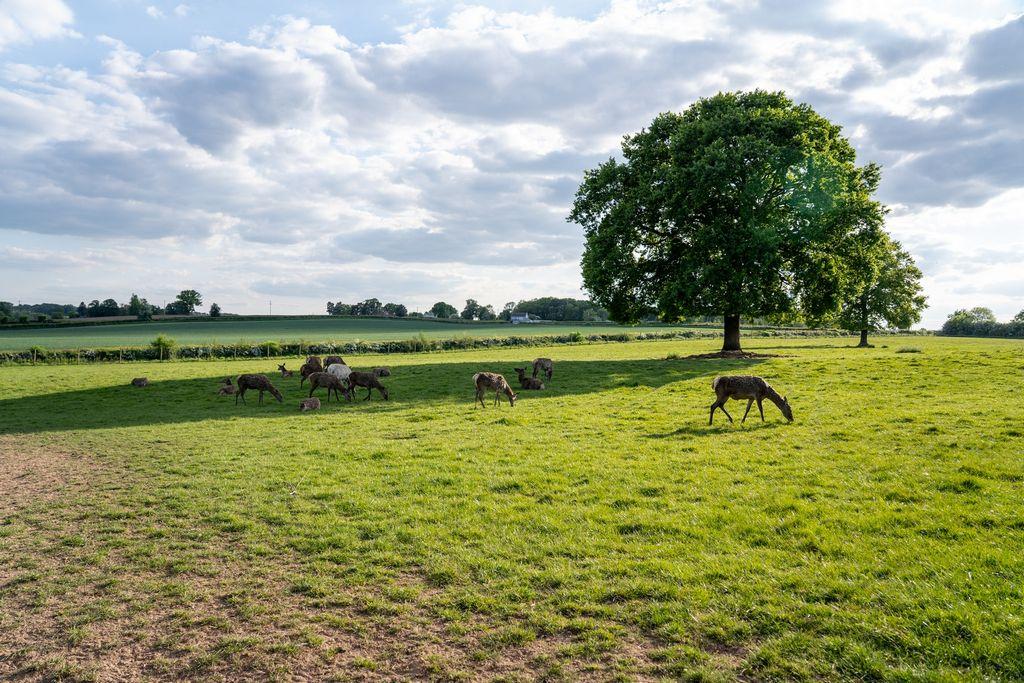 2025 Malvern View Photoshoot 273