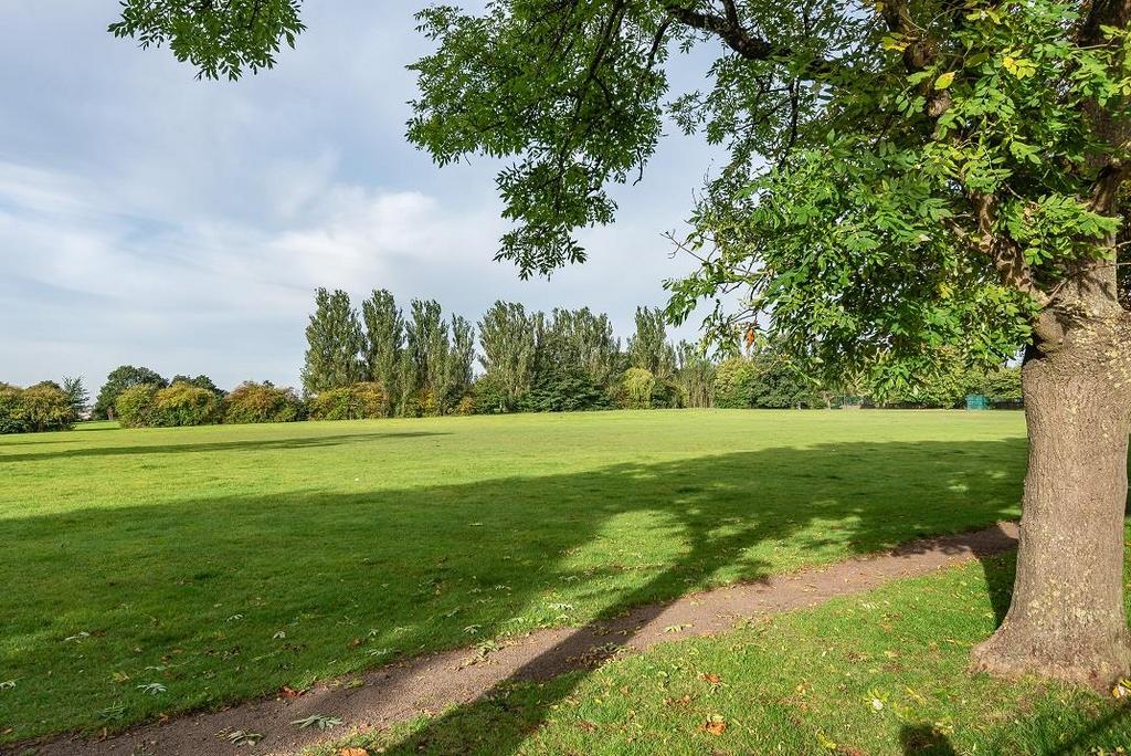 Mountsfield Park.jpg