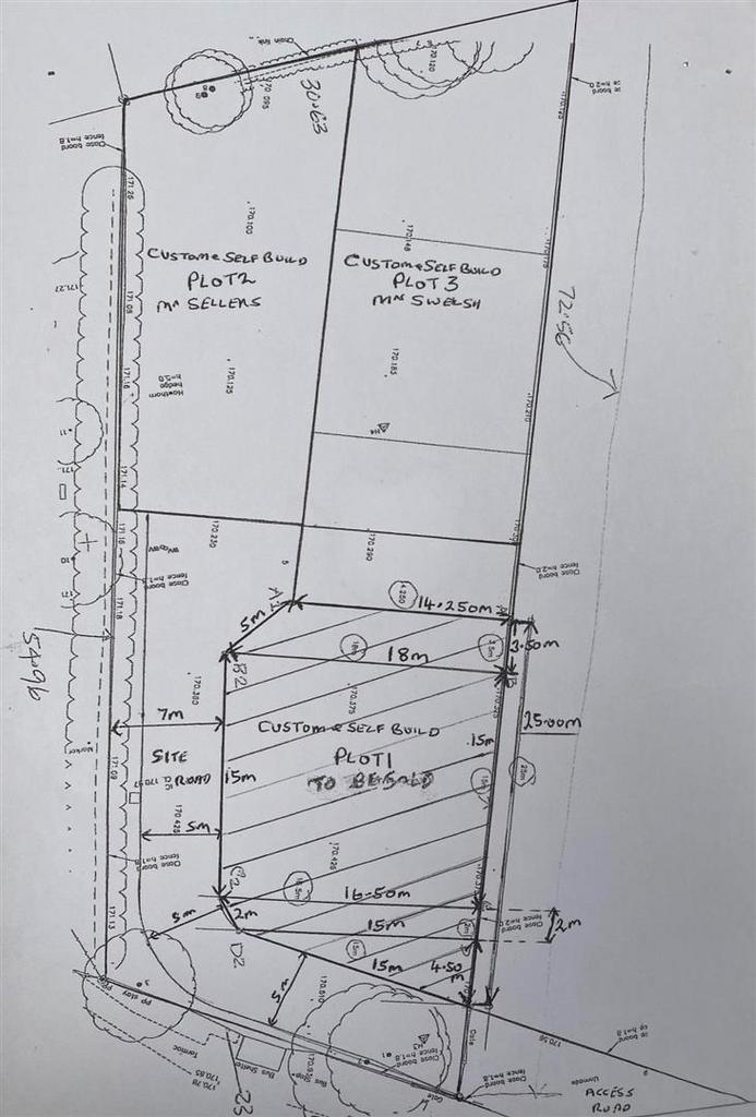 Picture2.jpg