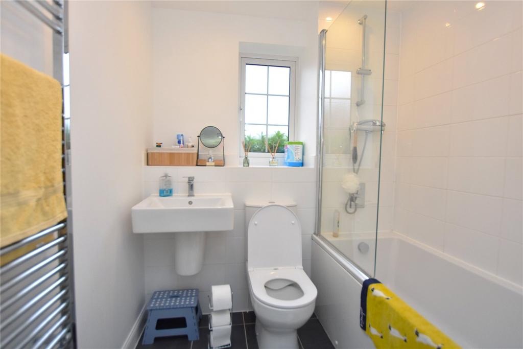 Picture 8