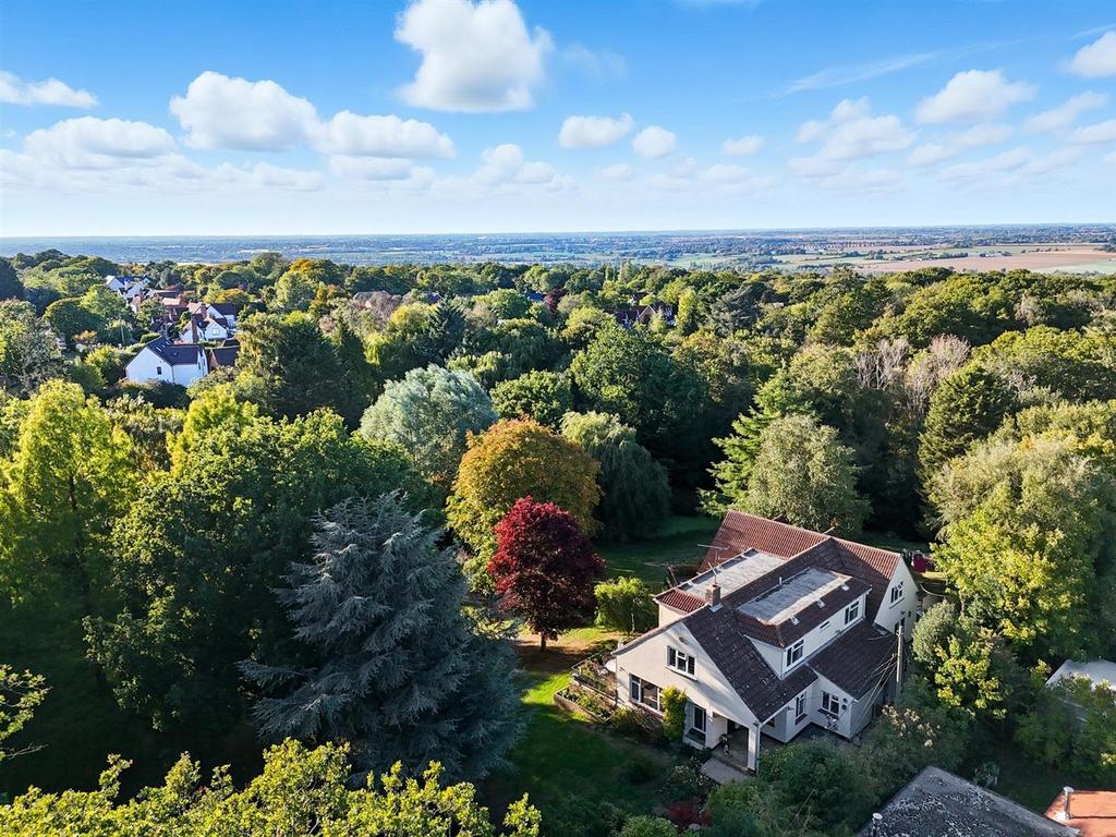 Dji 20250925171216 0849 d.jpg