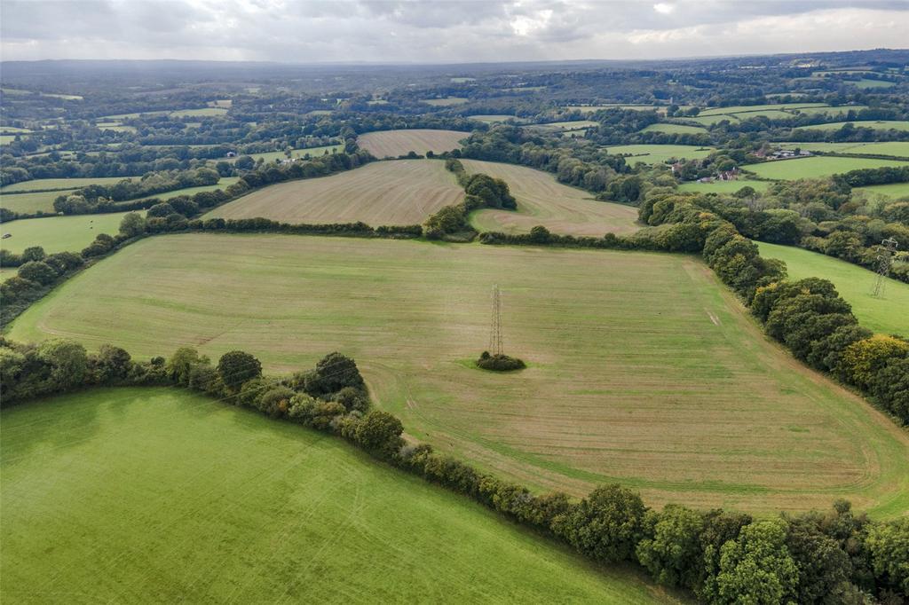 Picture No. 06