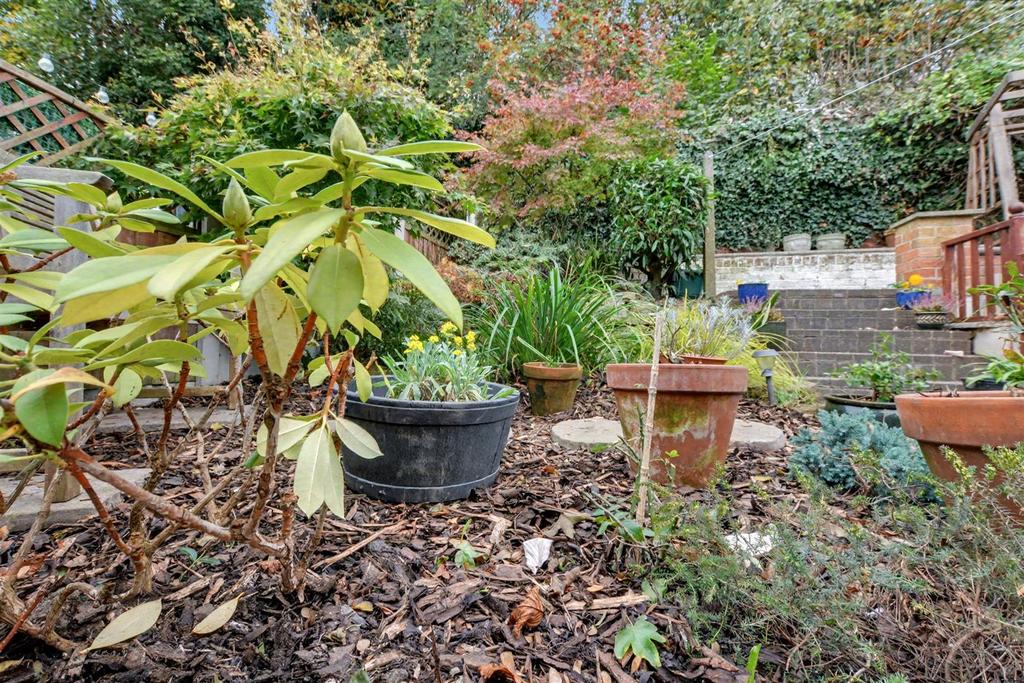 Garden 7.jpeg