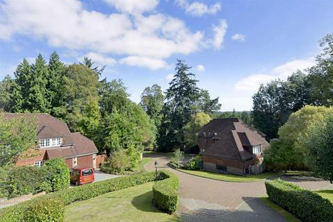 undefined, Woodrough Copse, Bramley, Guildford