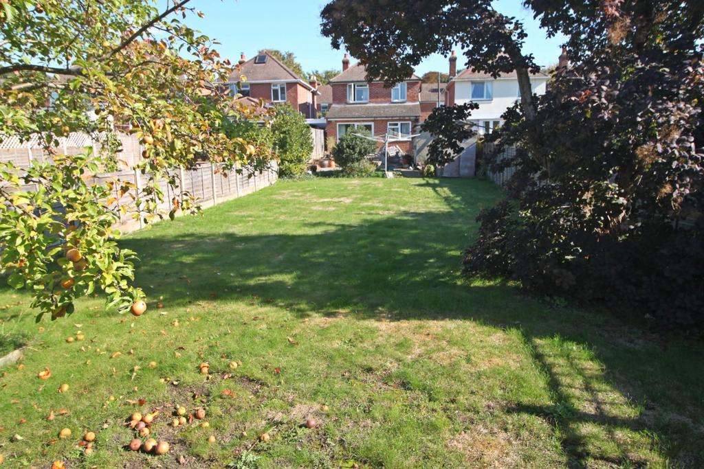 Garden 3.JPG