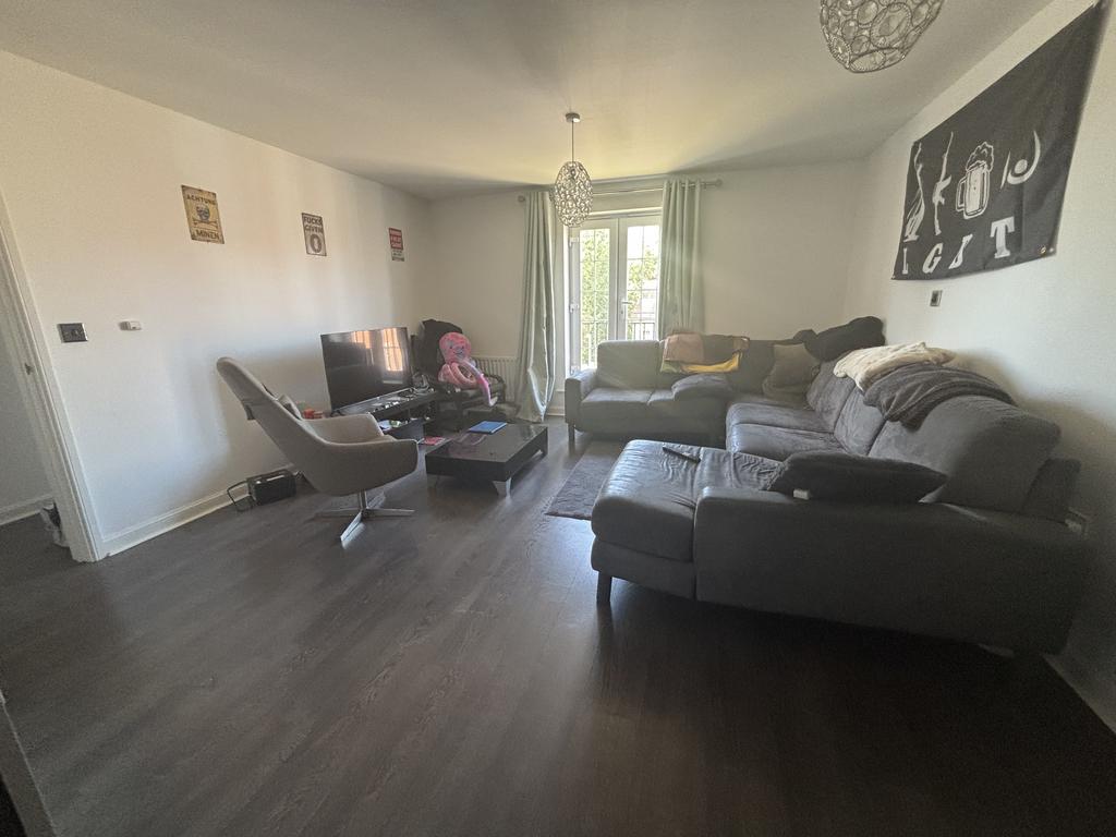Lounge - Conifers