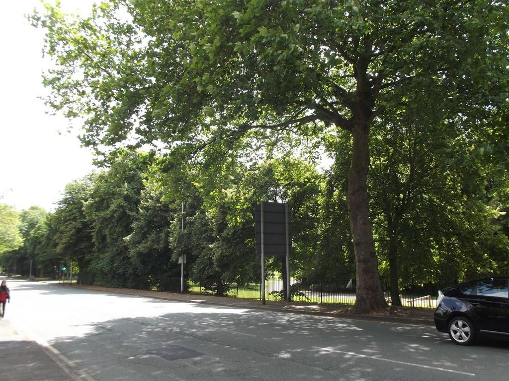 Tree-lined street with ample roadside parking a...