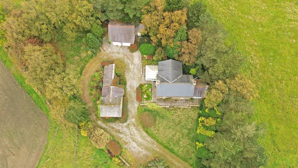 Dji 0910.jpg