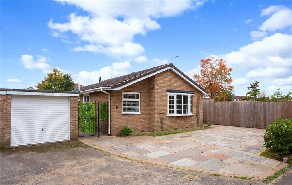 Photos