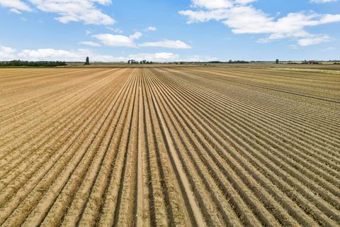 undefined, Morton Fen, Morton, Bourne, Lincolnshire, PE10
