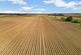 Morton Fen, Morton, Bourne, Lincolnshire, PE10