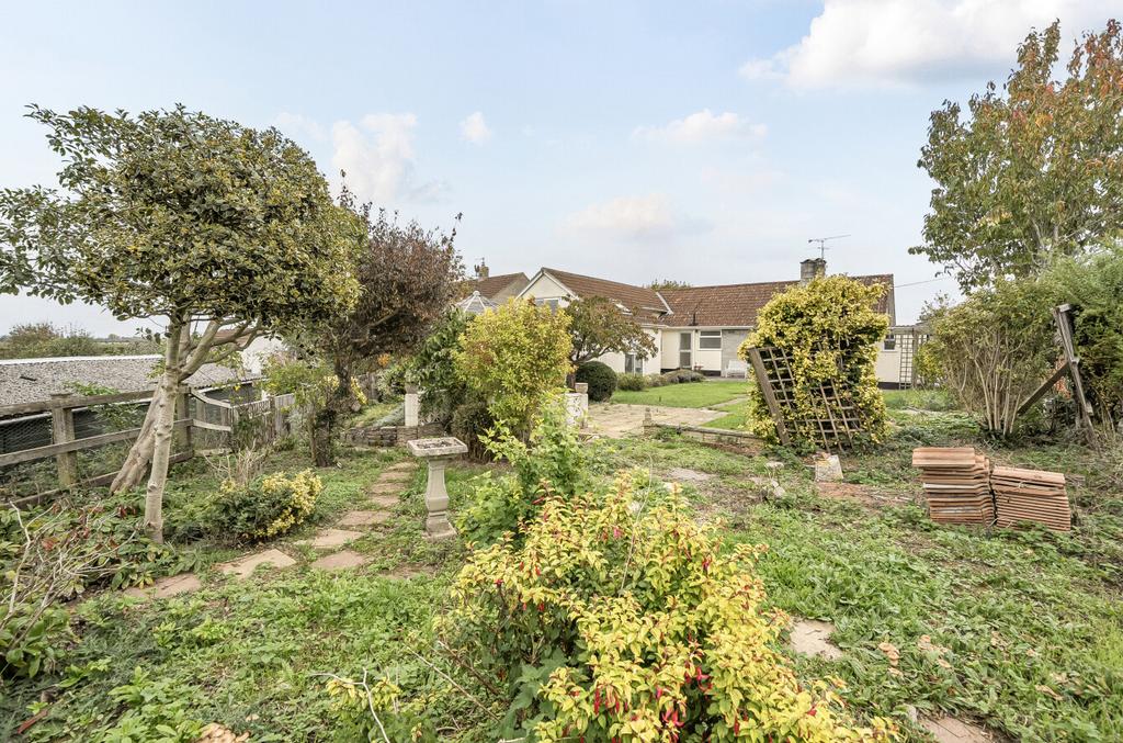 1365445-3-68ee642...