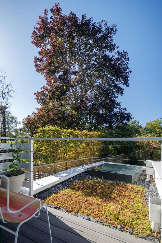 315327 - Morden Rd London-JSouteyrat-14917.jpg
