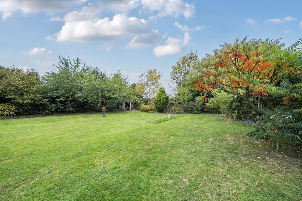 Communal Garden (1)