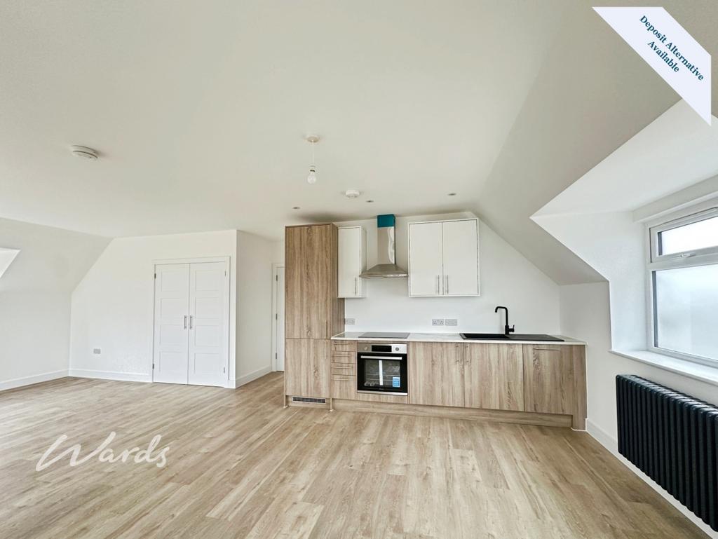 Living/Kitchen Area