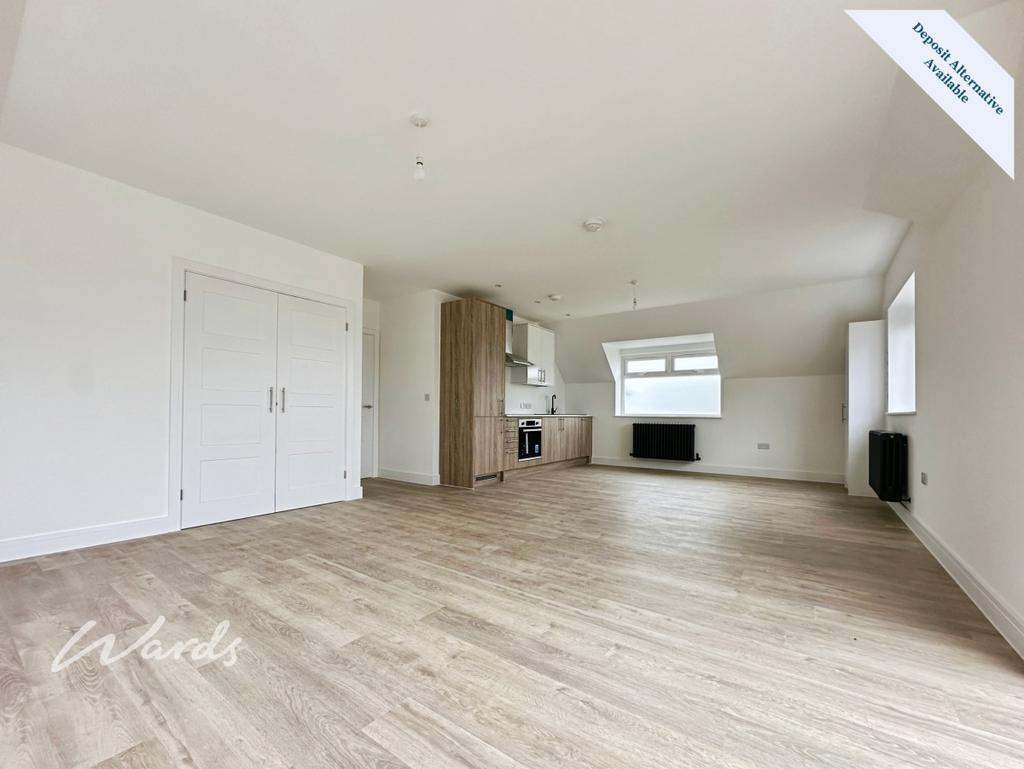 Living/Kitchen Area