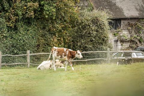 3 bedroom semi-detached house for sale, Mayfield Road, Frant, Tunbridge Wells, TN3