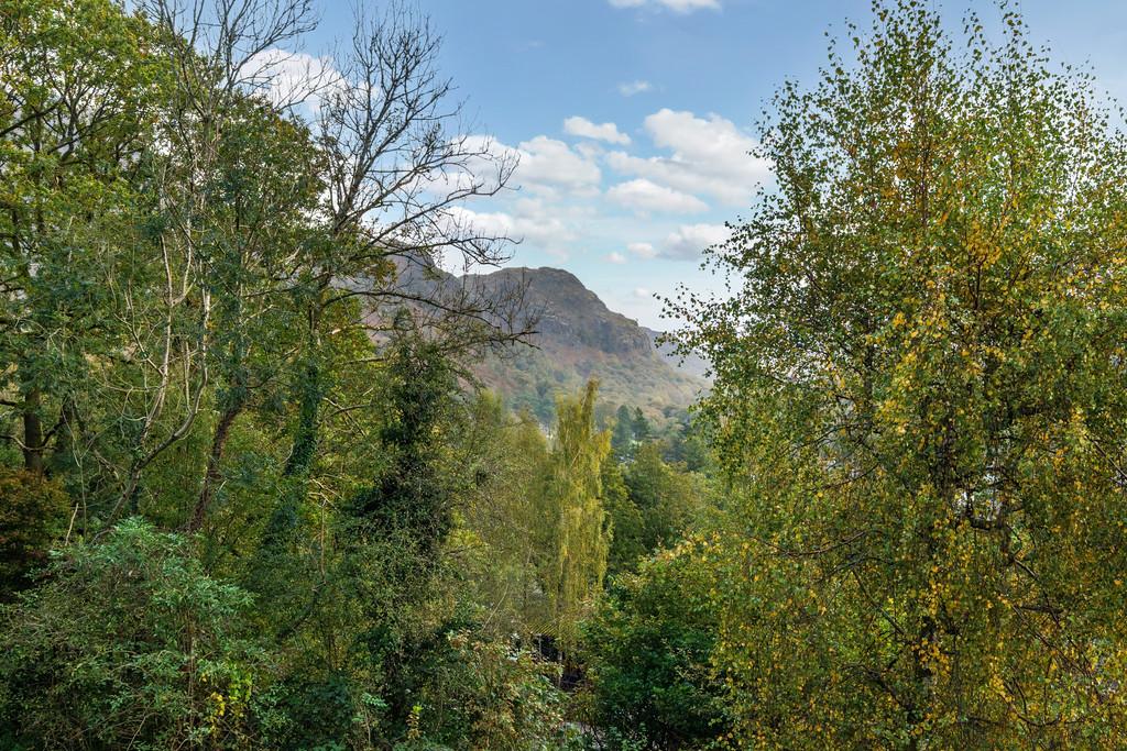Woodland and Fell Views