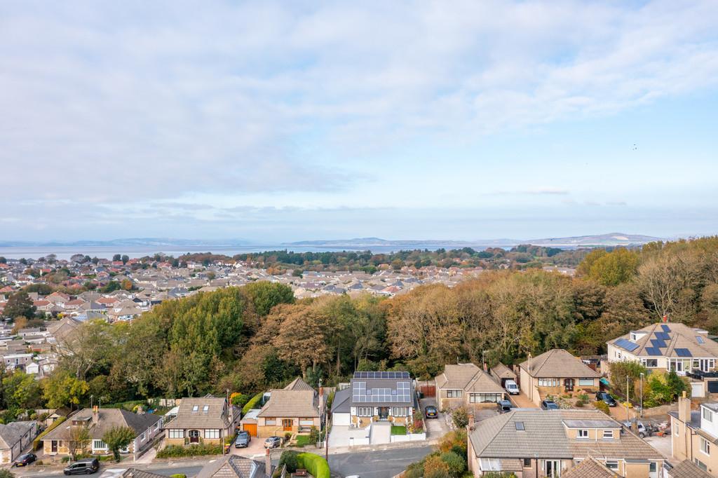 Aerial Shot