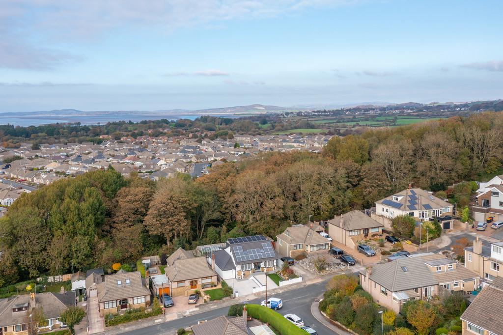Aerial Shot
