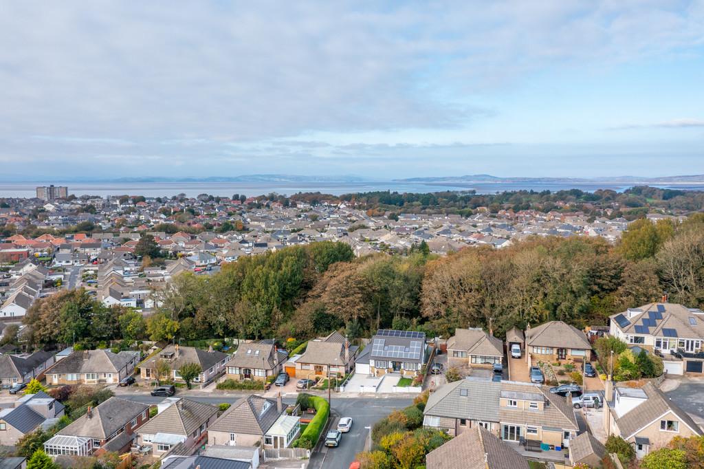 Aerial Shot