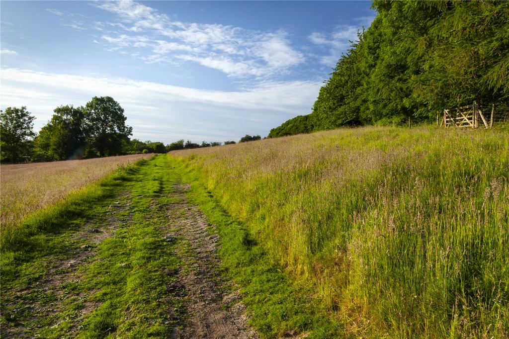 Land