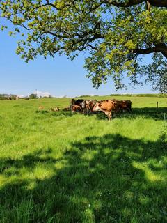 Property for sale, Furze Hill Farm, Hagworthingham, Spilsby, Lincolnshire