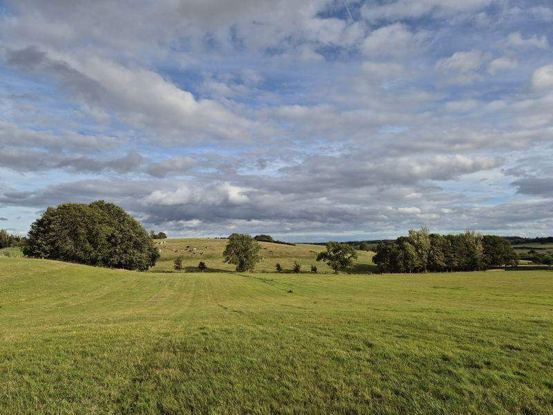 Furze Hill Farm