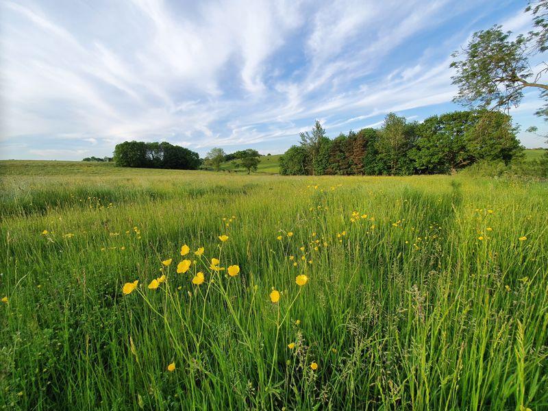 Furze Hill Farm
