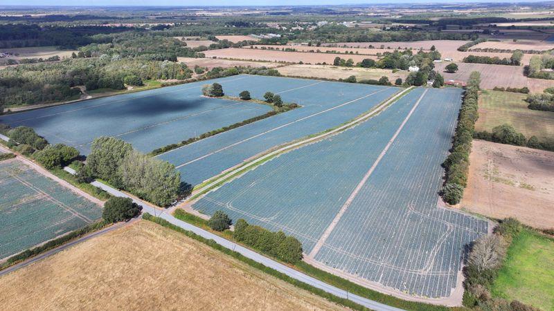 Aerial View -...