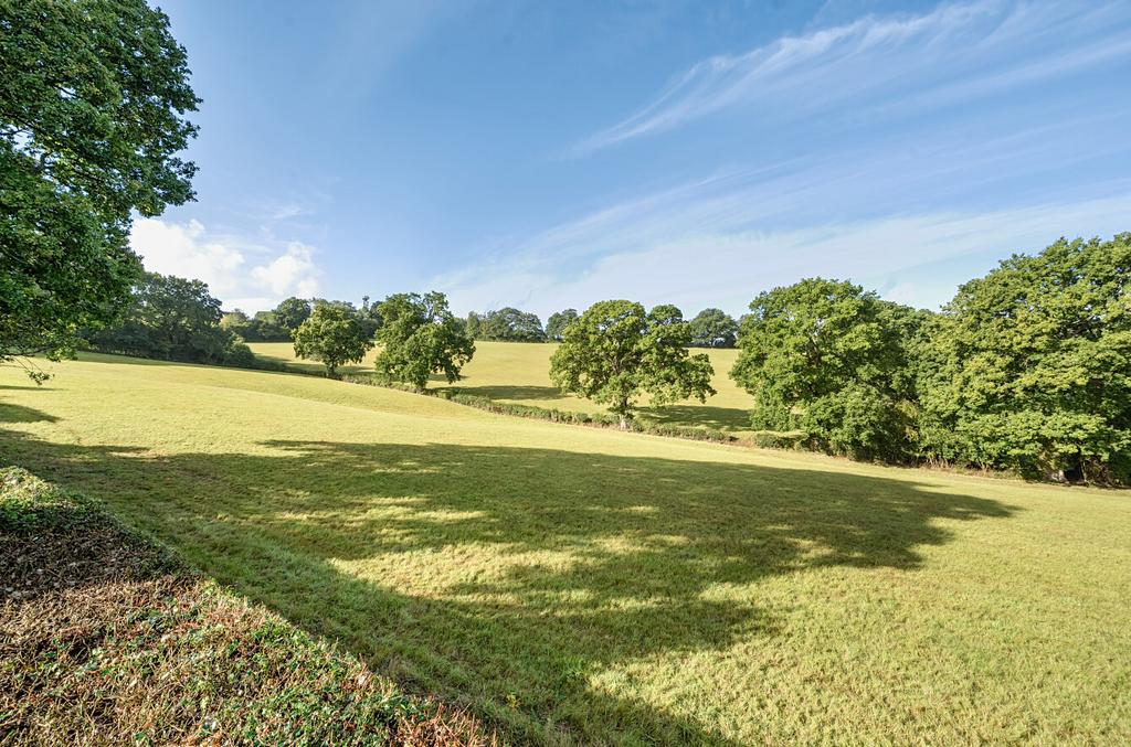 1343975-21-68b966...