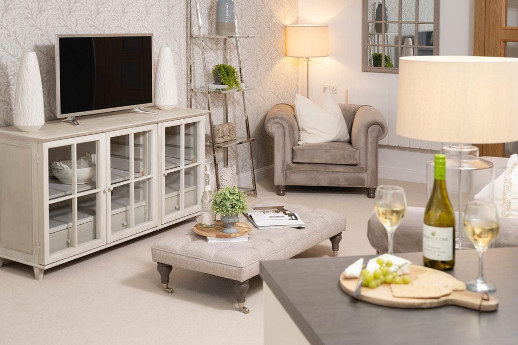 Show home living room