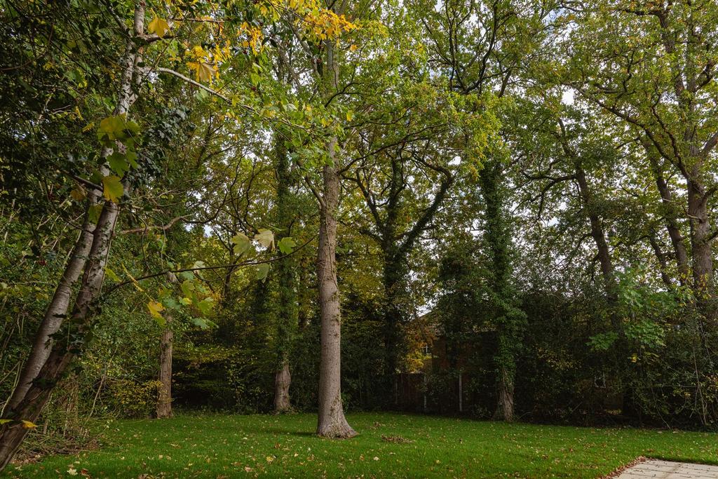 Gardens 2.jpg