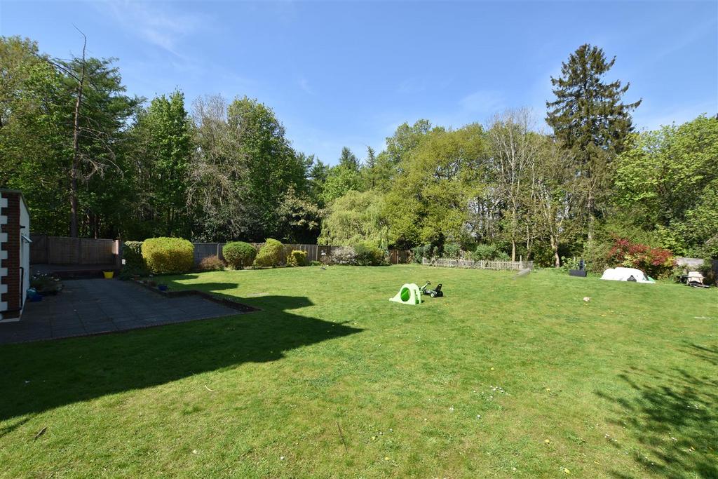 Garden.JPG
