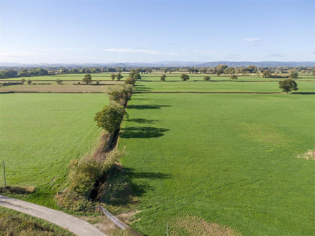 DJI 0873.jpg