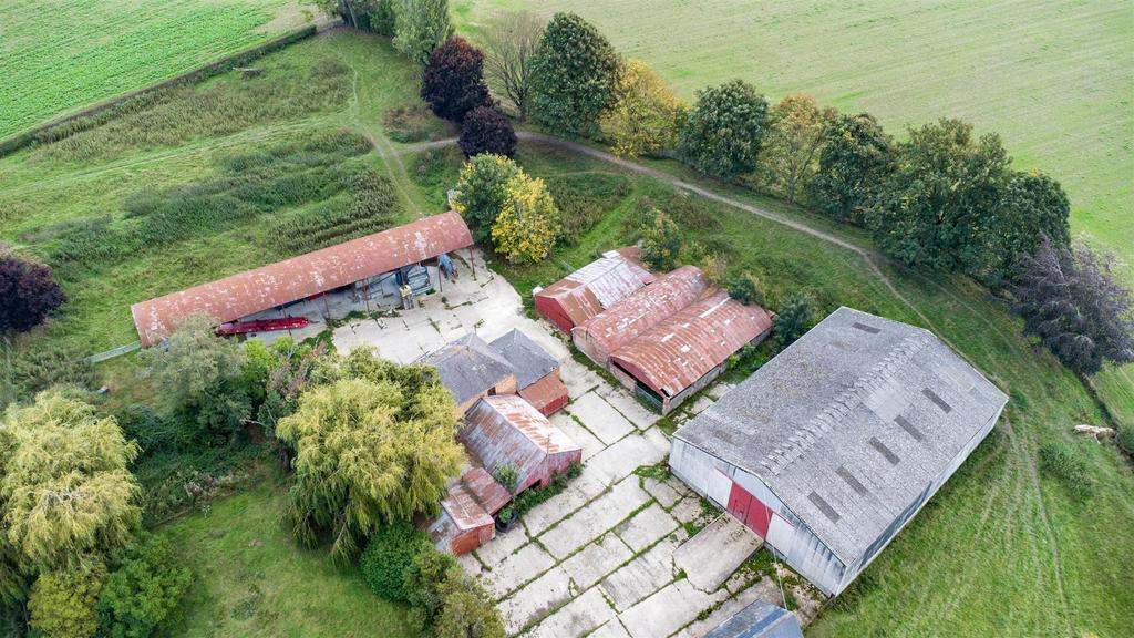 DJI 0915.jpg