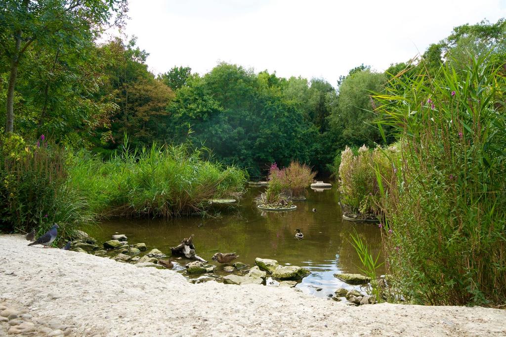 Russia Dock Woodland