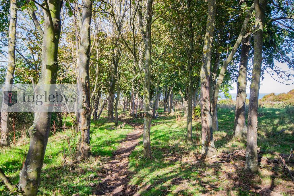 DSC 0344.jpg