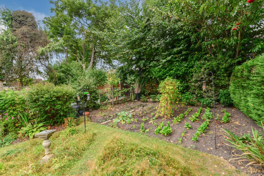 Rear Gardens