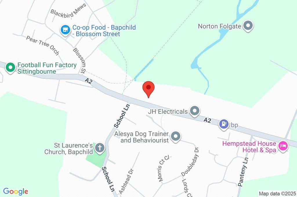 Google Maps Image