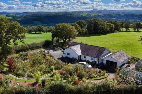 Llandovery, Carmarthenshire.